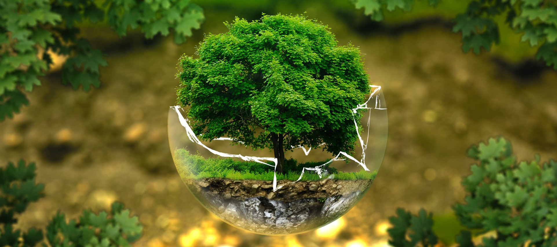 Worldwide freight services